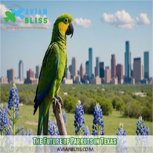 The Future of Parrots in Texas