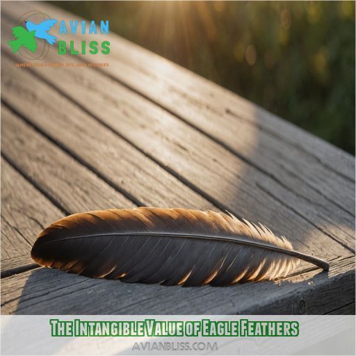 The Intangible Value of Eagle Feathers