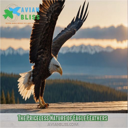 The Priceless Nature of Eagle Feathers