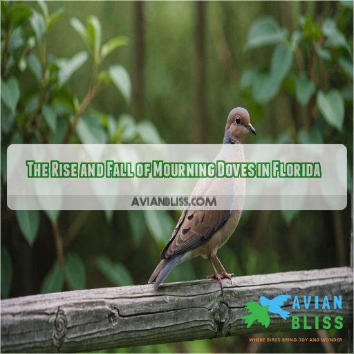 The Rise and Fall of Mourning Doves in Florida