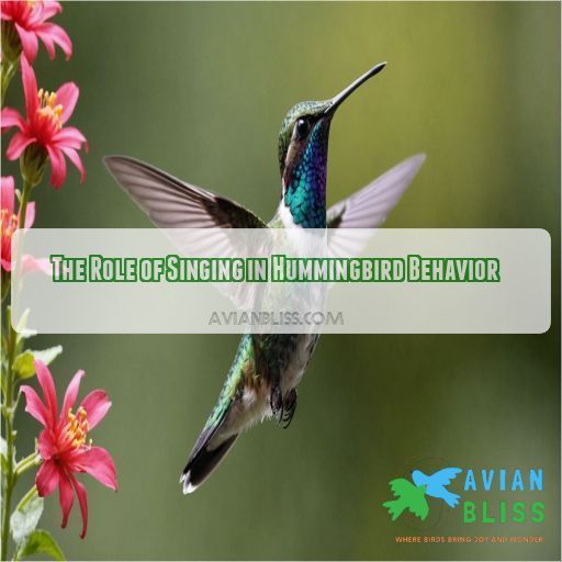 The Role of Singing in Hummingbird Behavior