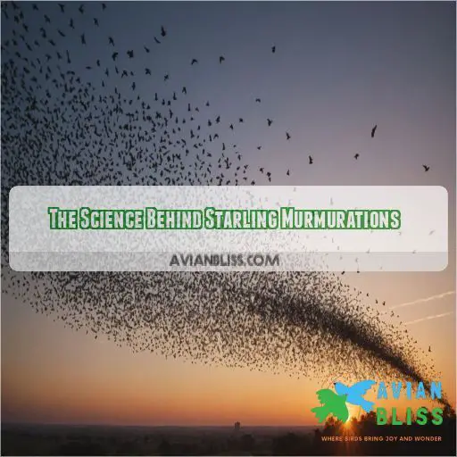 The Science Behind Starling Murmurations