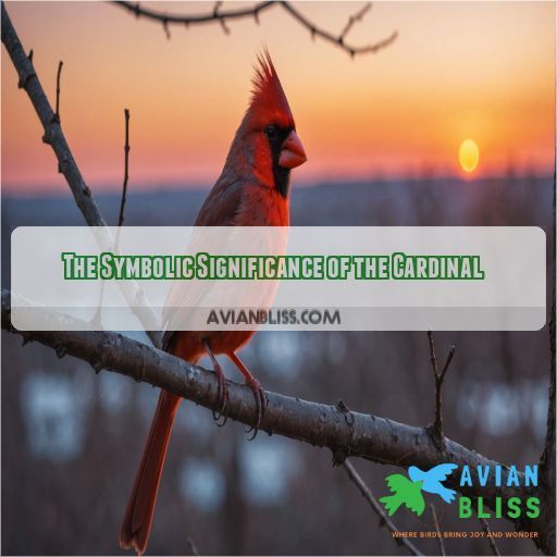 The Symbolic Significance of the Cardinal