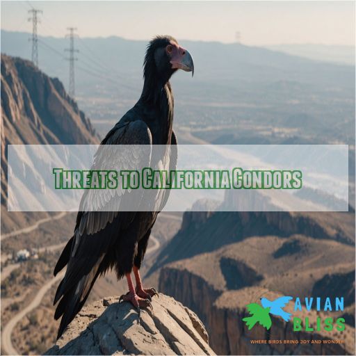 Threats to California Condors