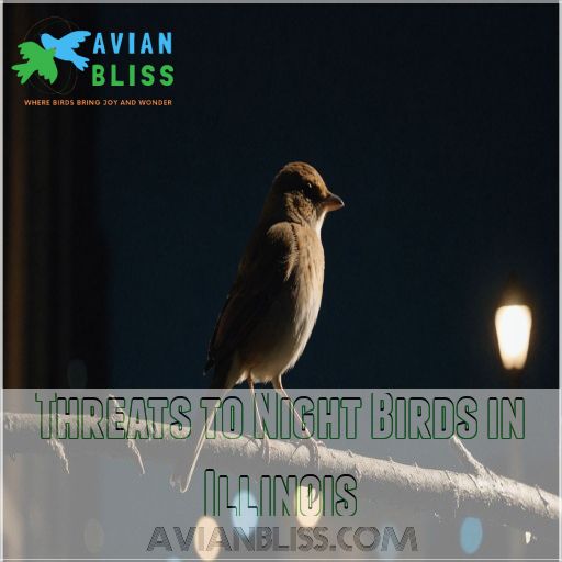 Threats to Night Birds in Illinois