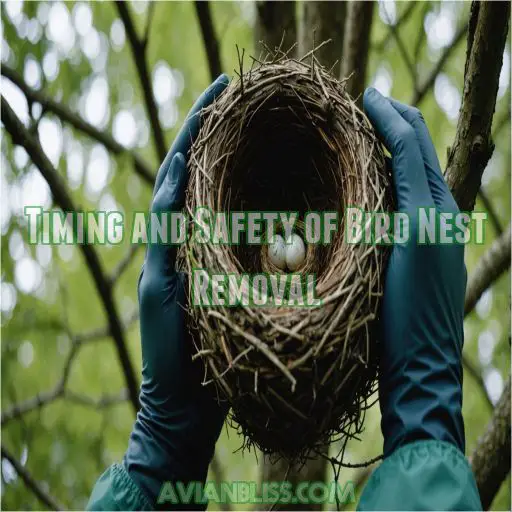 Timing and Safety of Bird Nest Removal