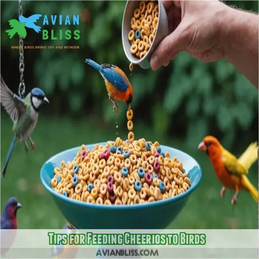 Tips for Feeding Cheerios to Birds