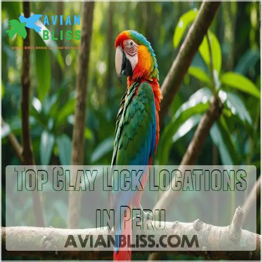 Top Clay Lick Locations in Peru