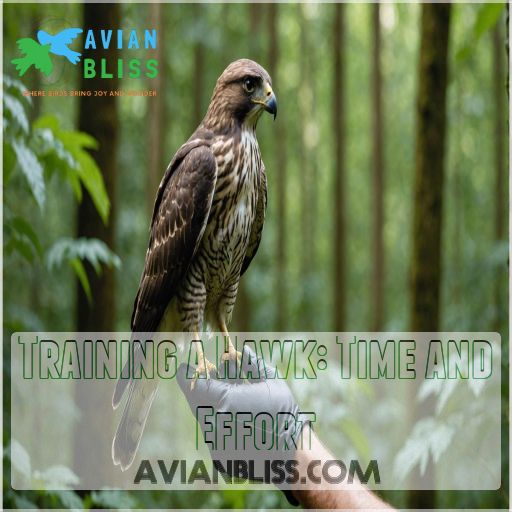 Training a Hawk: Time and Effort