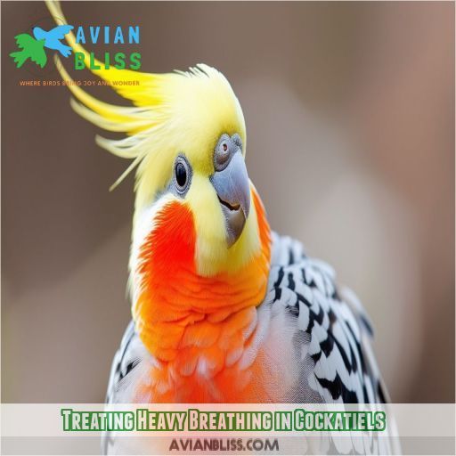 Treating Heavy Breathing in Cockatiels