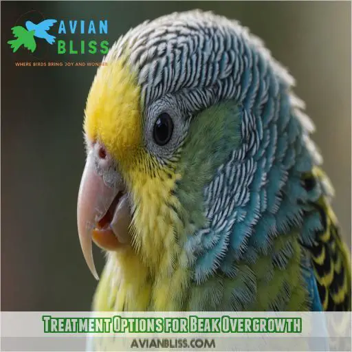 Treatment Options for Beak Overgrowth