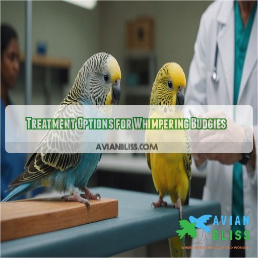 Treatment Options for Whimpering Budgies