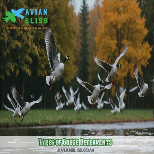 Types of Goose Deterrents