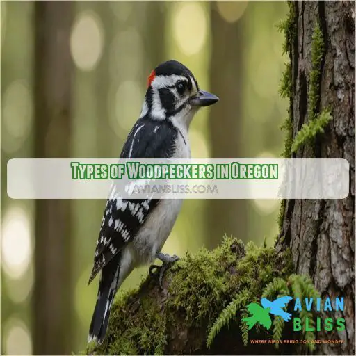 Types of Woodpeckers in Oregon