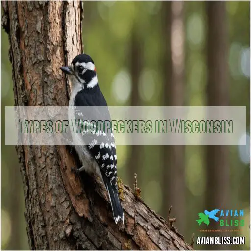 Types of Woodpeckers in Wisconsin