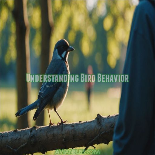 Understanding Bird Behavior