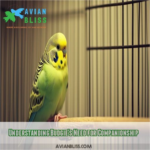 Understanding Budgie