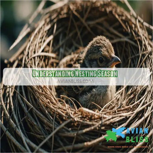 Understanding Nesting Season