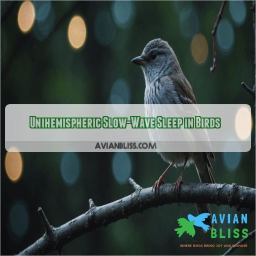 Unihemispheric Slow-Wave Sleep in Birds