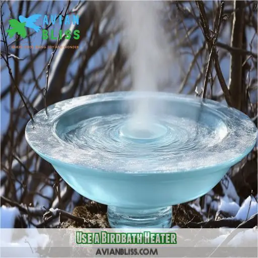 Use a Birdbath Heater