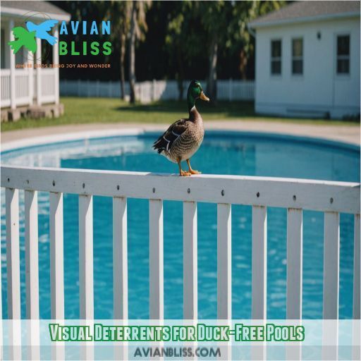 Visual Deterrents for Duck-Free Pools