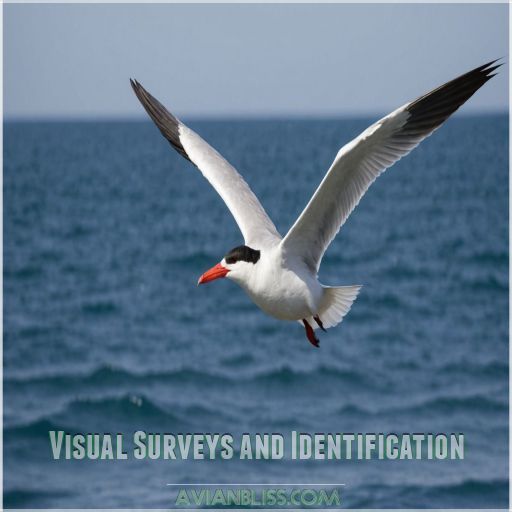 Visual Surveys and Identification