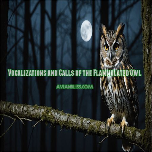 Vocalizations and Calls of the Flammulated Owl