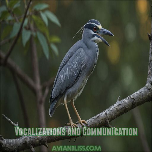 Vocalizations and Communication