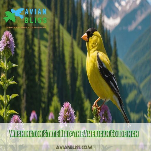 Washington State Bird: the American Goldfinch