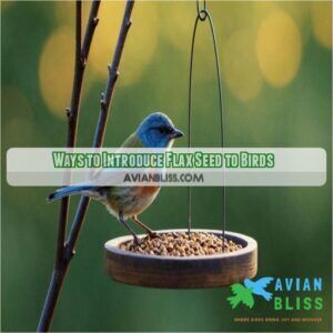 High-Quality Can Birds Eat Flax Seeds Capture Collection High-Quality Can Birds Eat Flax Seeds Capture Collection