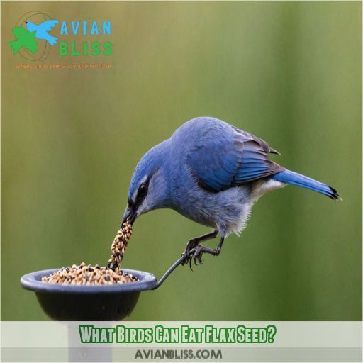 What Birds Can Eat Flax Seed