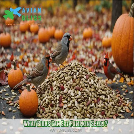 What Birds Can Eat Pumpkin Seeds