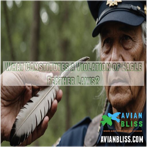 What Constitutes a Violation of Eagle Feather Laws