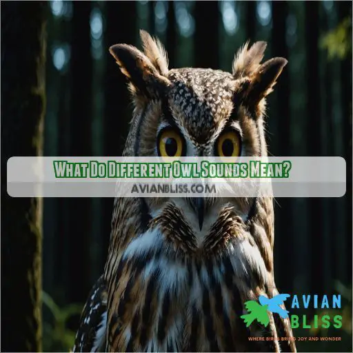 What Do Different Owl Sounds Mean