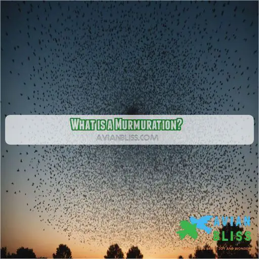 What is a Murmuration