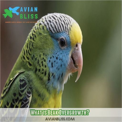 What is Beak Overgrowth