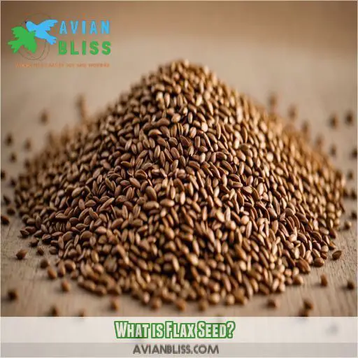 What is Flax Seed