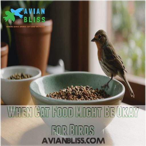 When Cat Food Might Be Okay for Birds