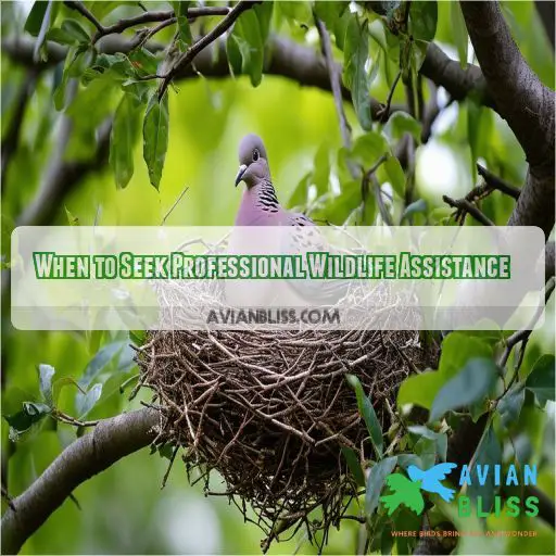 When to Seek Professional Wildlife Assistance