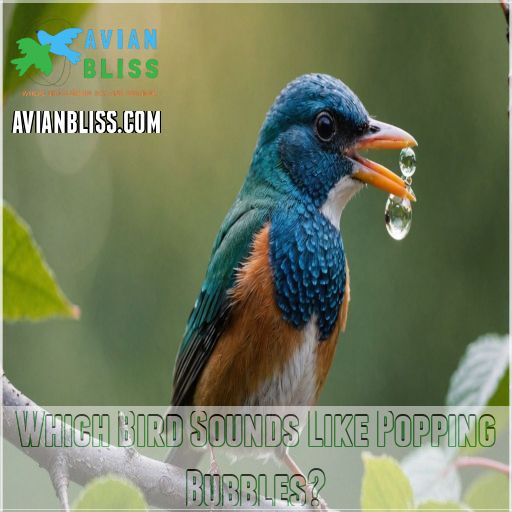 Which Bird Sounds Like Popping Bubbles