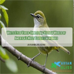 white eyed vireo