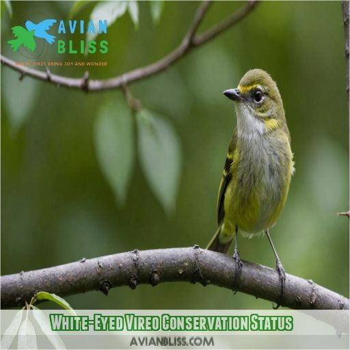 White-Eyed Vireo Conservation Status