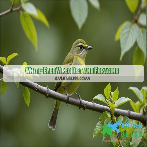 White-Eyed Vireo Diet and Foraging