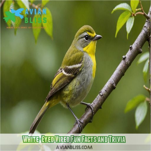 White-Eyed Vireo Fun Facts and Trivia