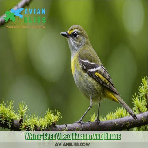 White-Eyed Vireo Habitat and Range