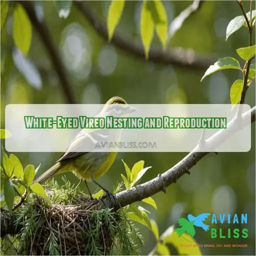 White-Eyed Vireo Nesting and Reproduction