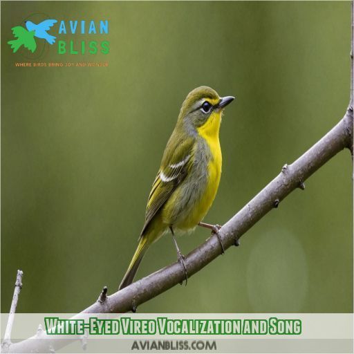 White-Eyed Vireo Vocalization and Song