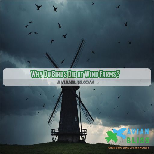 Why Do Birds Die at Wind Farms