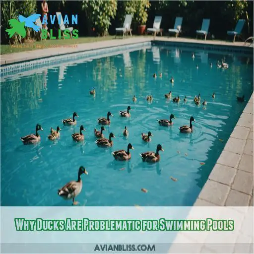 Why Ducks Are Problematic for Swimming Pools