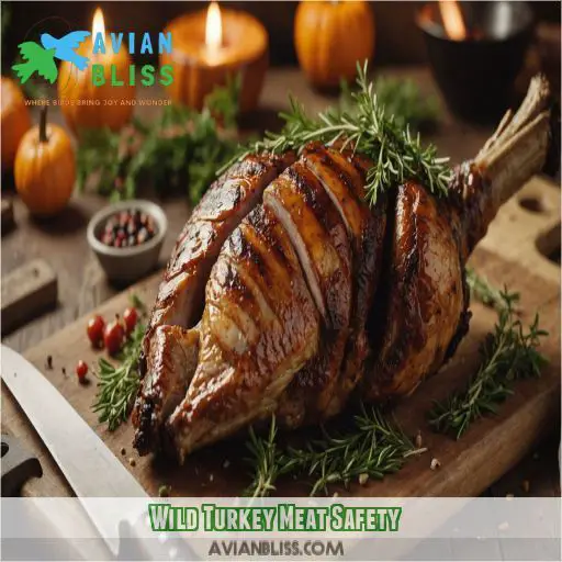 Wild Turkey Meat Safety